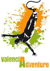 puentingvalencia logo footer